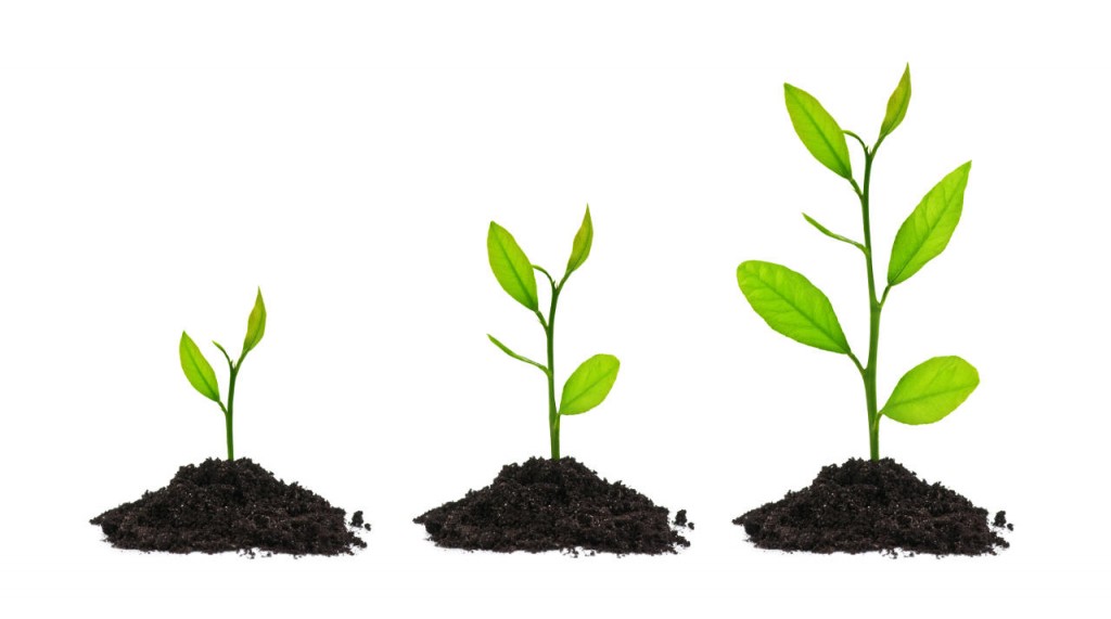 grow